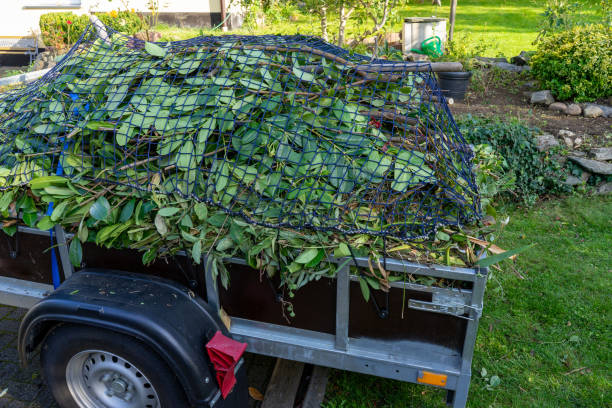 Best Carpet Removal and Disposal  in Argentine, MI